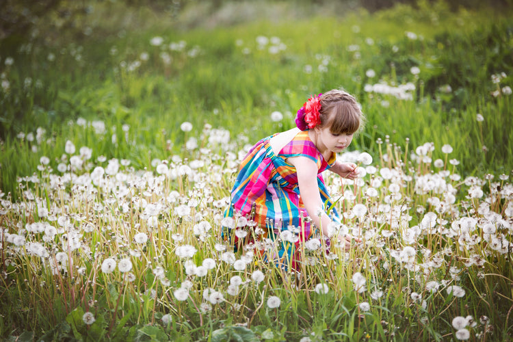 Donations - All Coralee's 'Butterfly Fields' Collections
