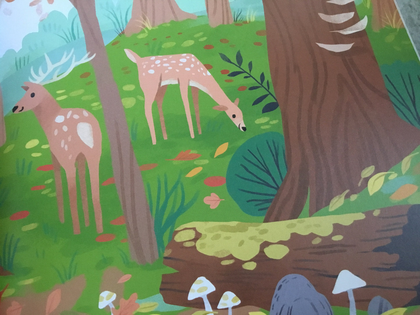 Getting Ready For Autumn - National Trust | 2-5 | pb