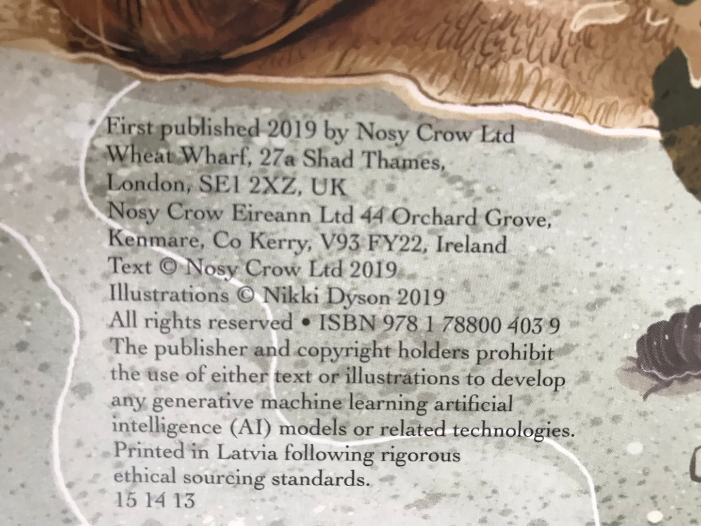 Nosy Crow publish and printing details
Beetles & Butterflies sticker book