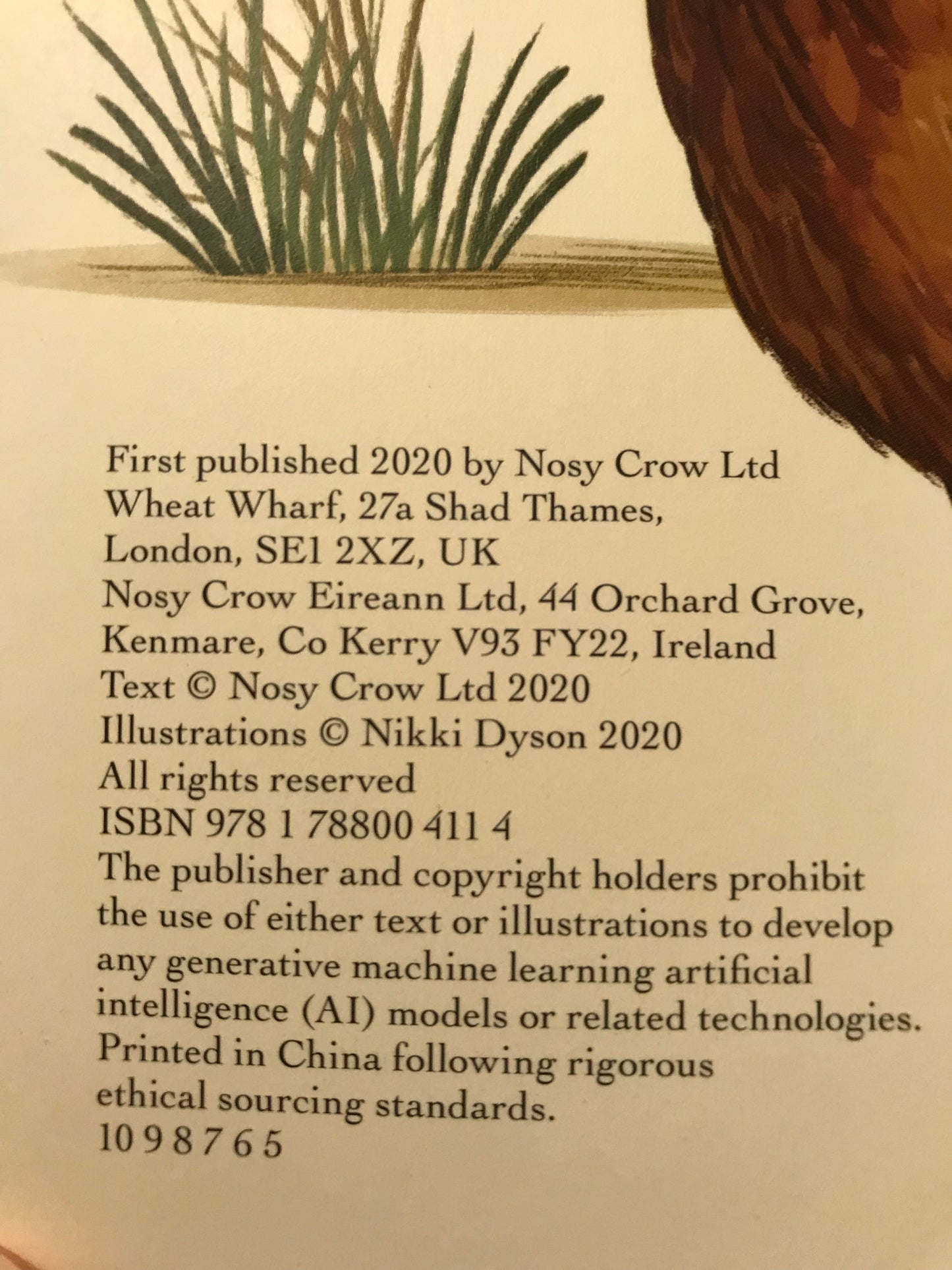 Nosy Crow publish and printing details
Horse & Hens sticker book