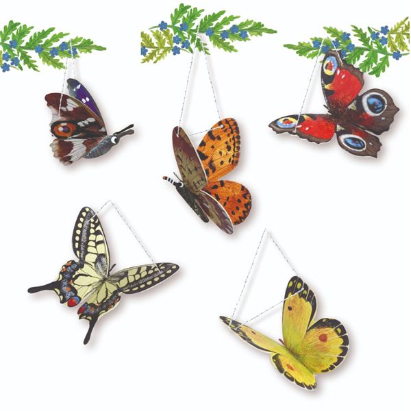 Press Out & Learn: Butterfly Skies - National Trust | 5-7 | bb