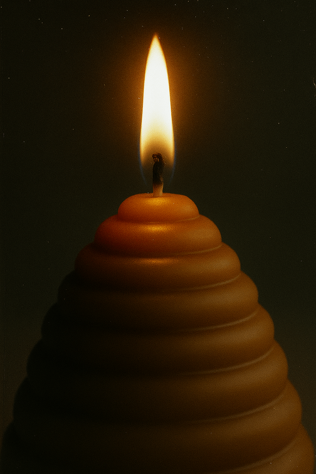 Beeswax Candle - The Hive | 36hr bt