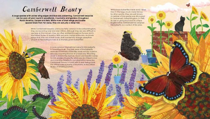 Press Out & Learn: Butterfly Skies - National Trust | 5-7 | bb