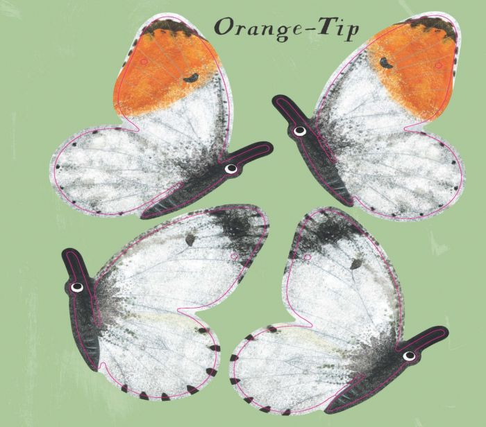 Press Out & Learn: Butterfly Skies - National Trust | 5-7 | bb