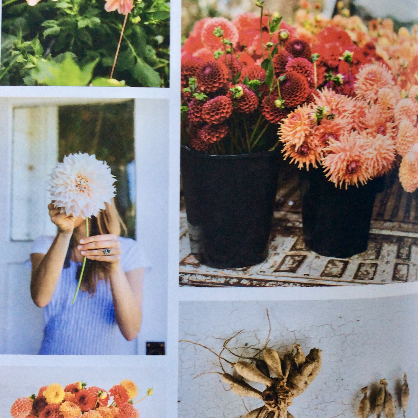 Floret Farm's Cut Flower Garden - Hardback | GUIDE | *ON DEMAND ORDER