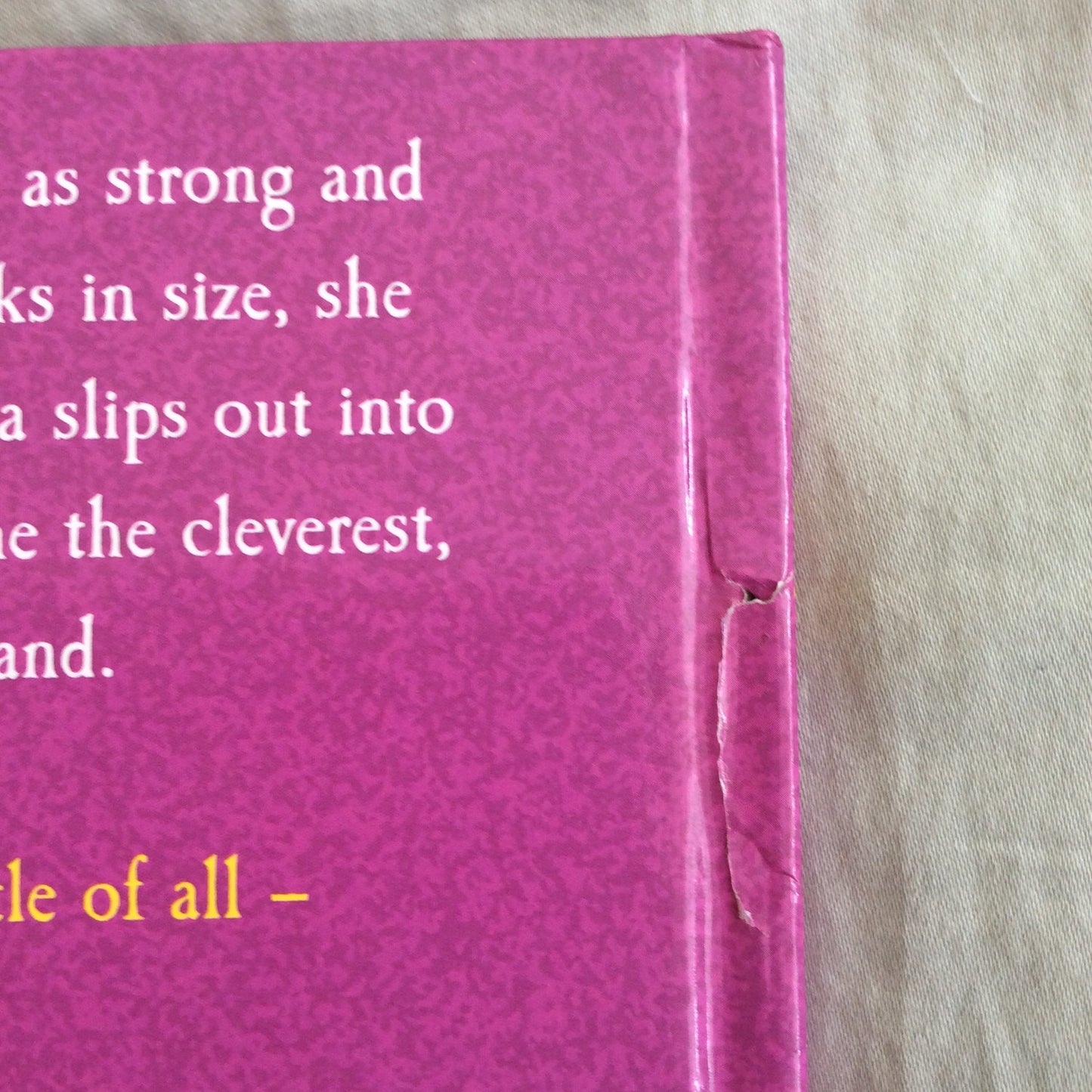 The Princess Knight - Cornelia Funke