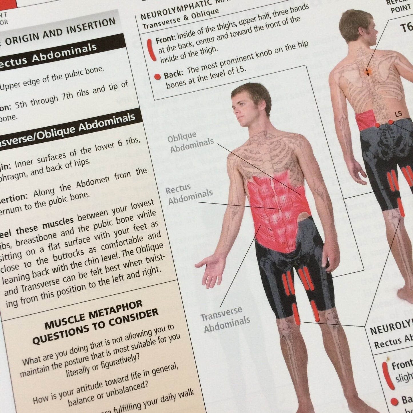 Touch for Health Complete - The 50th Anniversary Edition - John & Matthew Thie | Paperback, Sep 20 2023