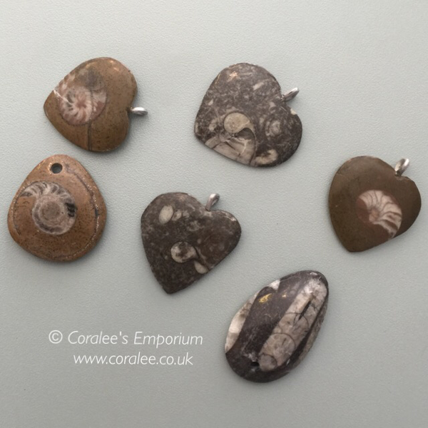 Coralee’s Earth Gifts - Fossil Pendants