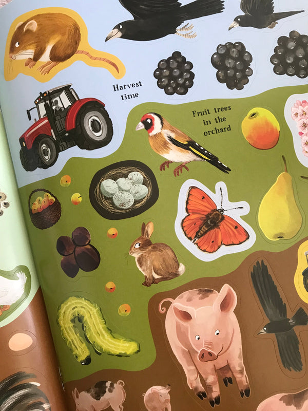 BOOKs & More |  National Trust - Nature Sticker Books