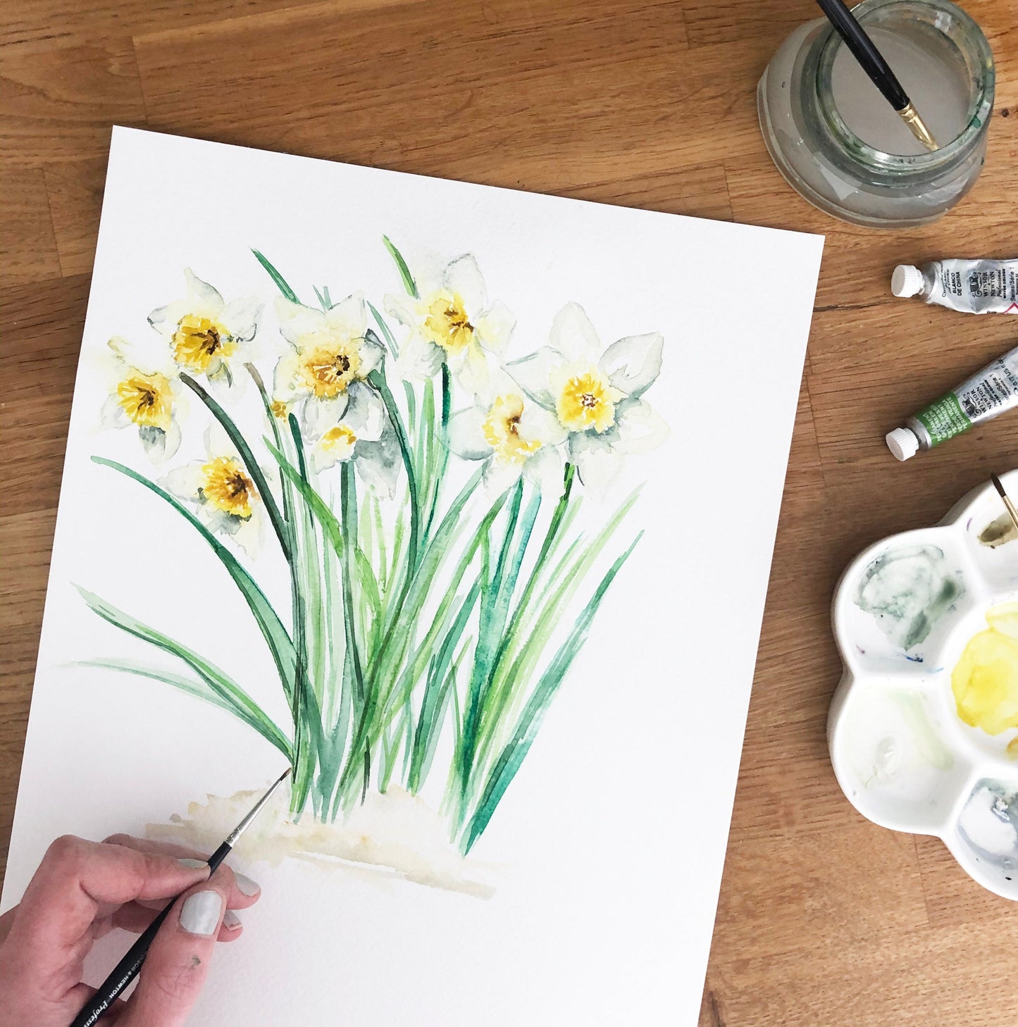 Fine Art PRINT,  Daffodils, March Birth Flower | sizes & frame options