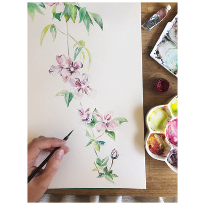 Fine Art PRINT, Watercolour, Clematis Fairy | sizes & frame options