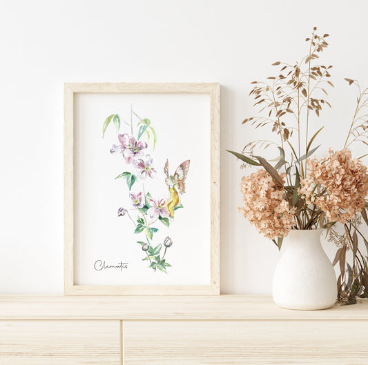 Fine Art PRINT, Watercolour, Clematis Fairy | sizes & frame options