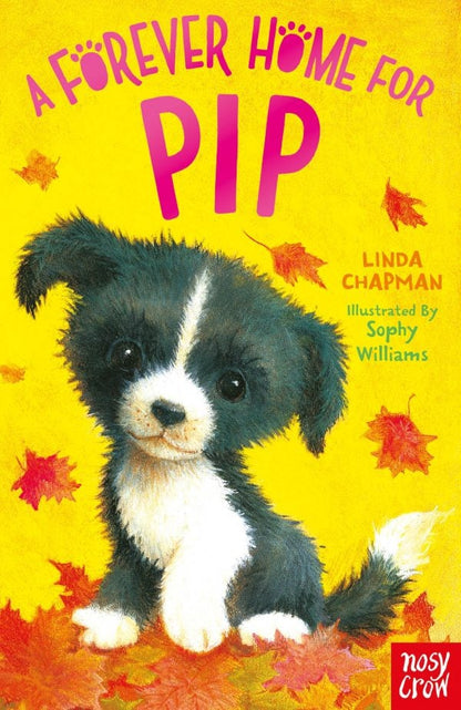 A Forever Home for Pip | Currently Out of Stock with Publishers