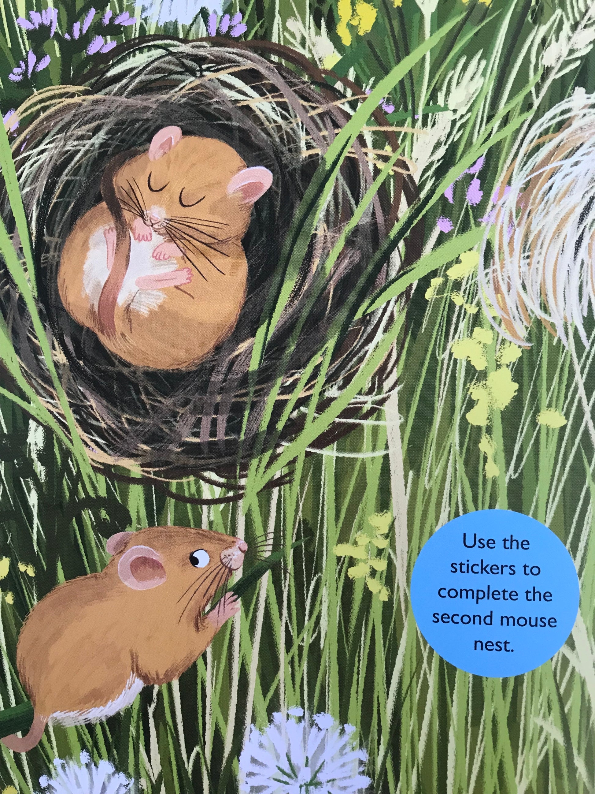 Book page illustration of two mice in a nest with grass and flowers, featuring a call to action for using stickers to complete the mouse nest scene.
