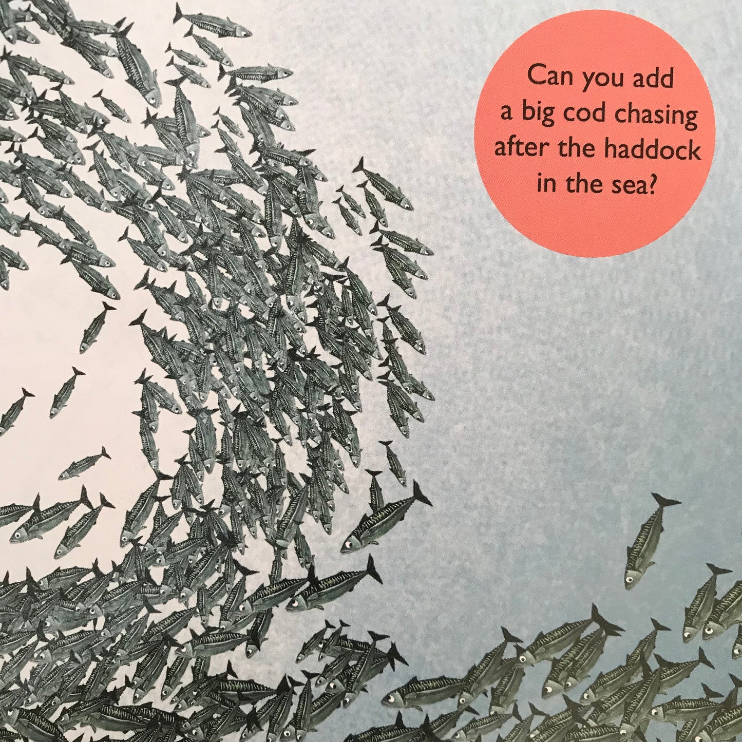 Book page Illustration of fish swimming in a school, with a call to add a sticker a cod chasing haddock.