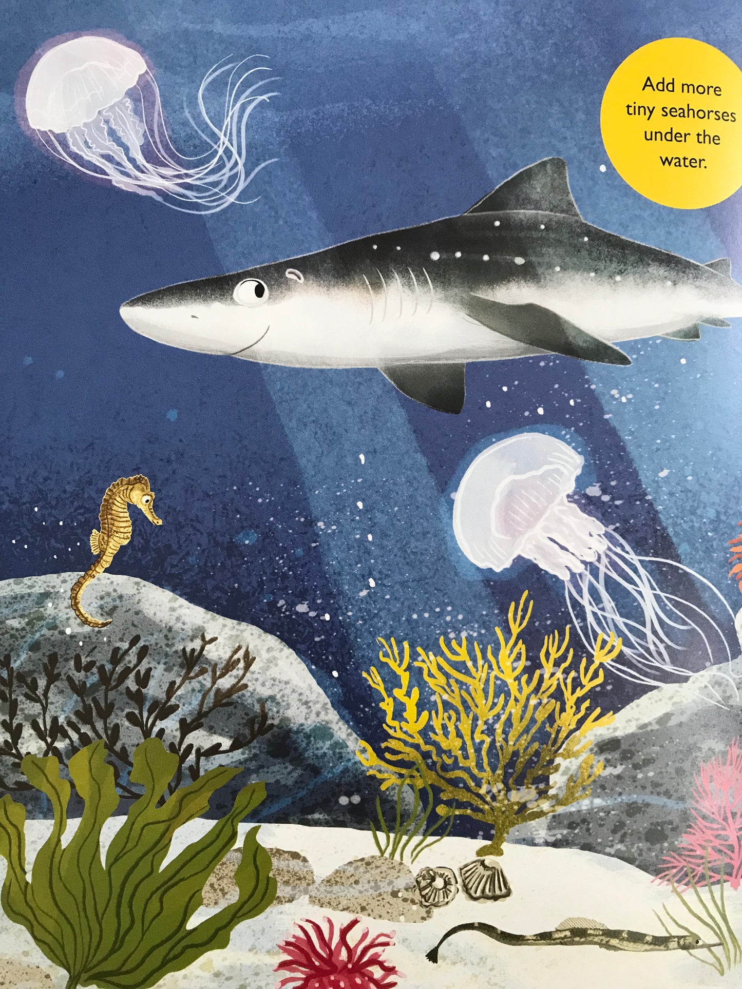 Book page illustration of a shark and underwater creatures with coral and jellyfish.