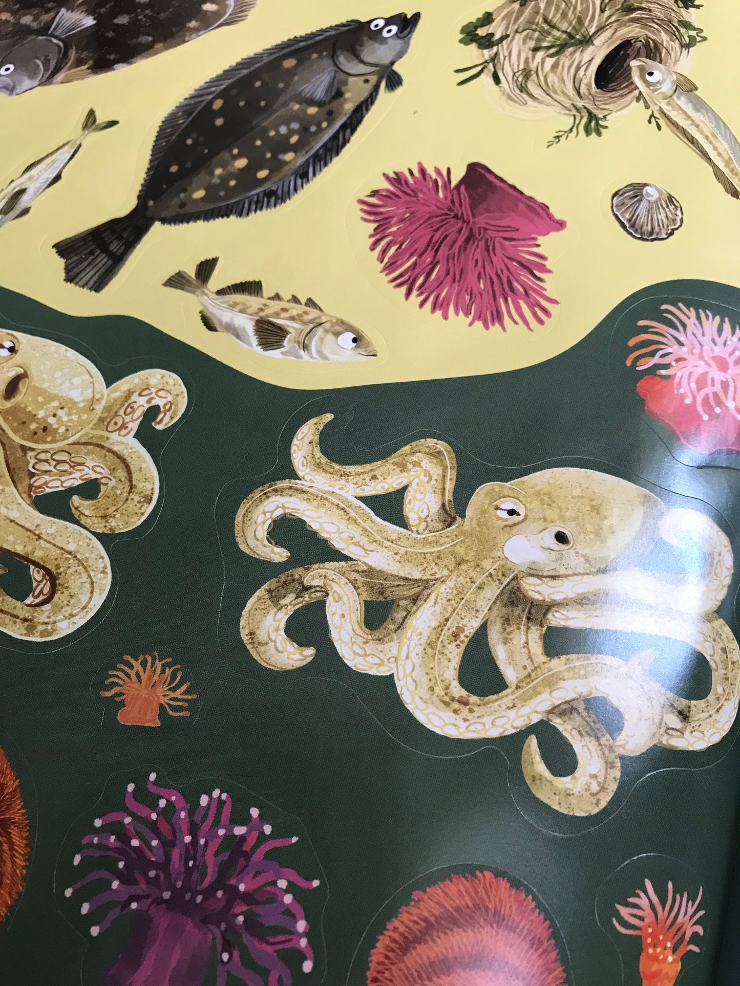 Boo page illustrations of octopuses, fish, and sea creatures mix colour on sticker page 