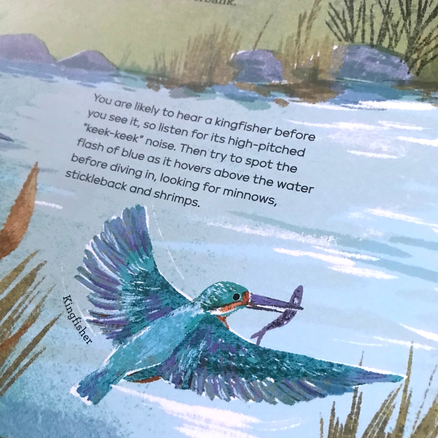 A Story of the Seasons - National Trust | 7-9 | Large Hardback