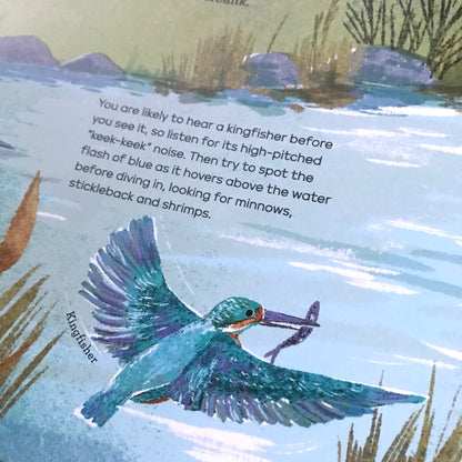 A Story of the Seasons - National Trust | 7-9 | Large Hardback