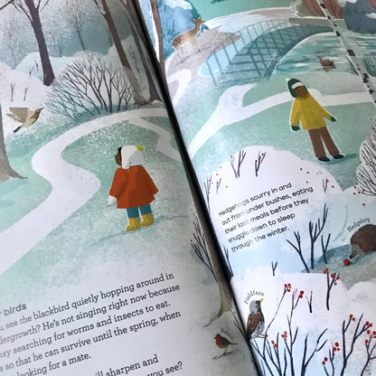 A Story of the Seasons - National Trust | 7-9 | Large Hardback