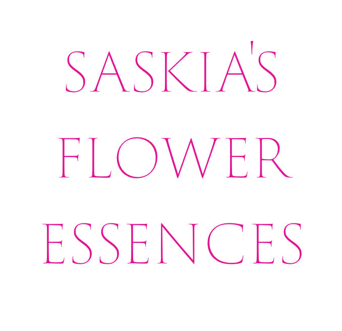 Cards to Inspire - Boxed Set - Saskia's Flower Essences