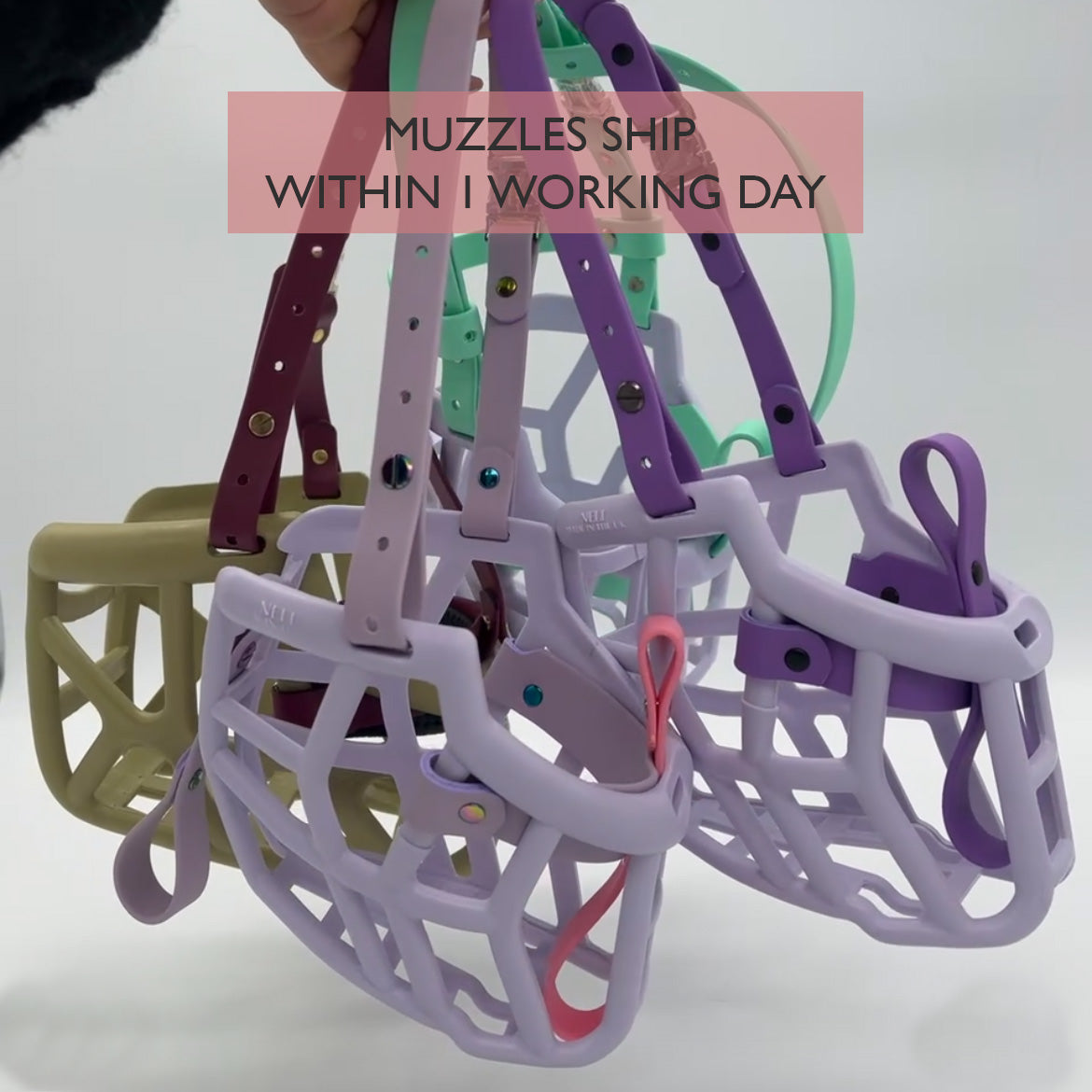 Size Neli Dog Muzzle