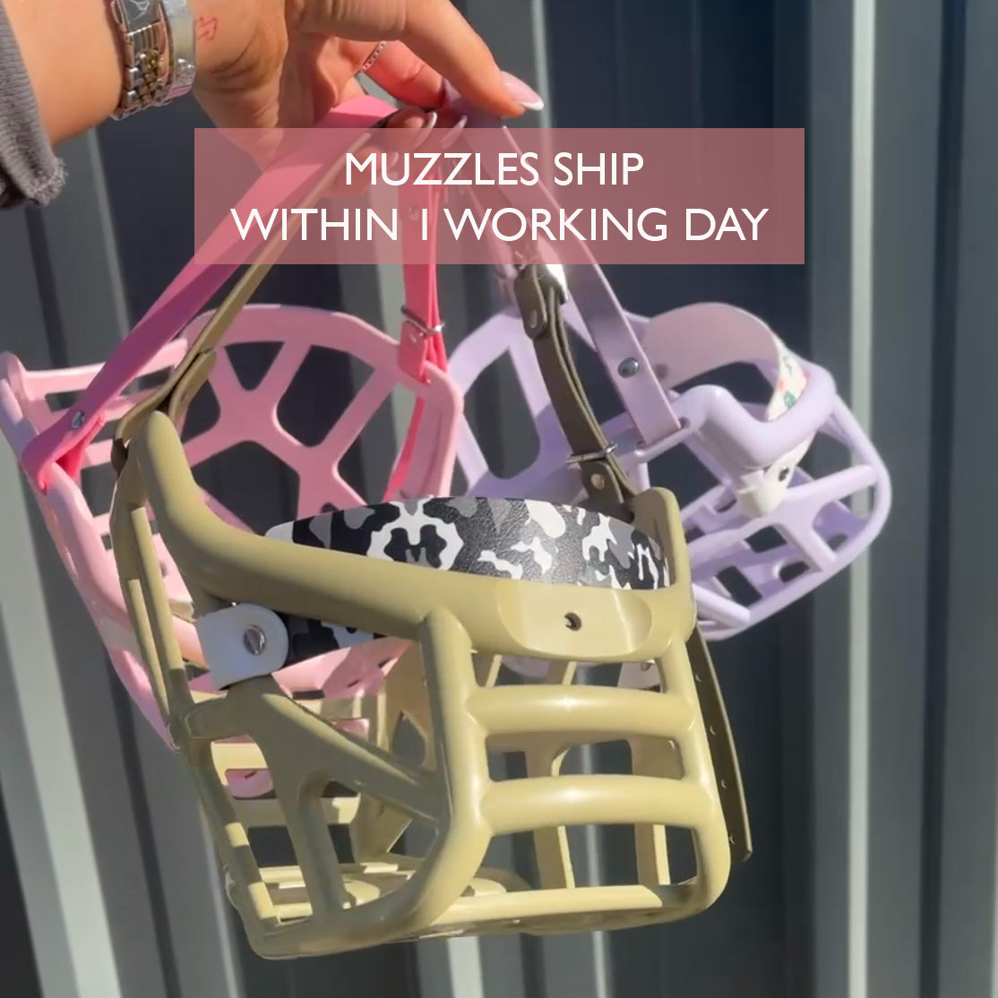 Size Mitzy Dog Muzzle