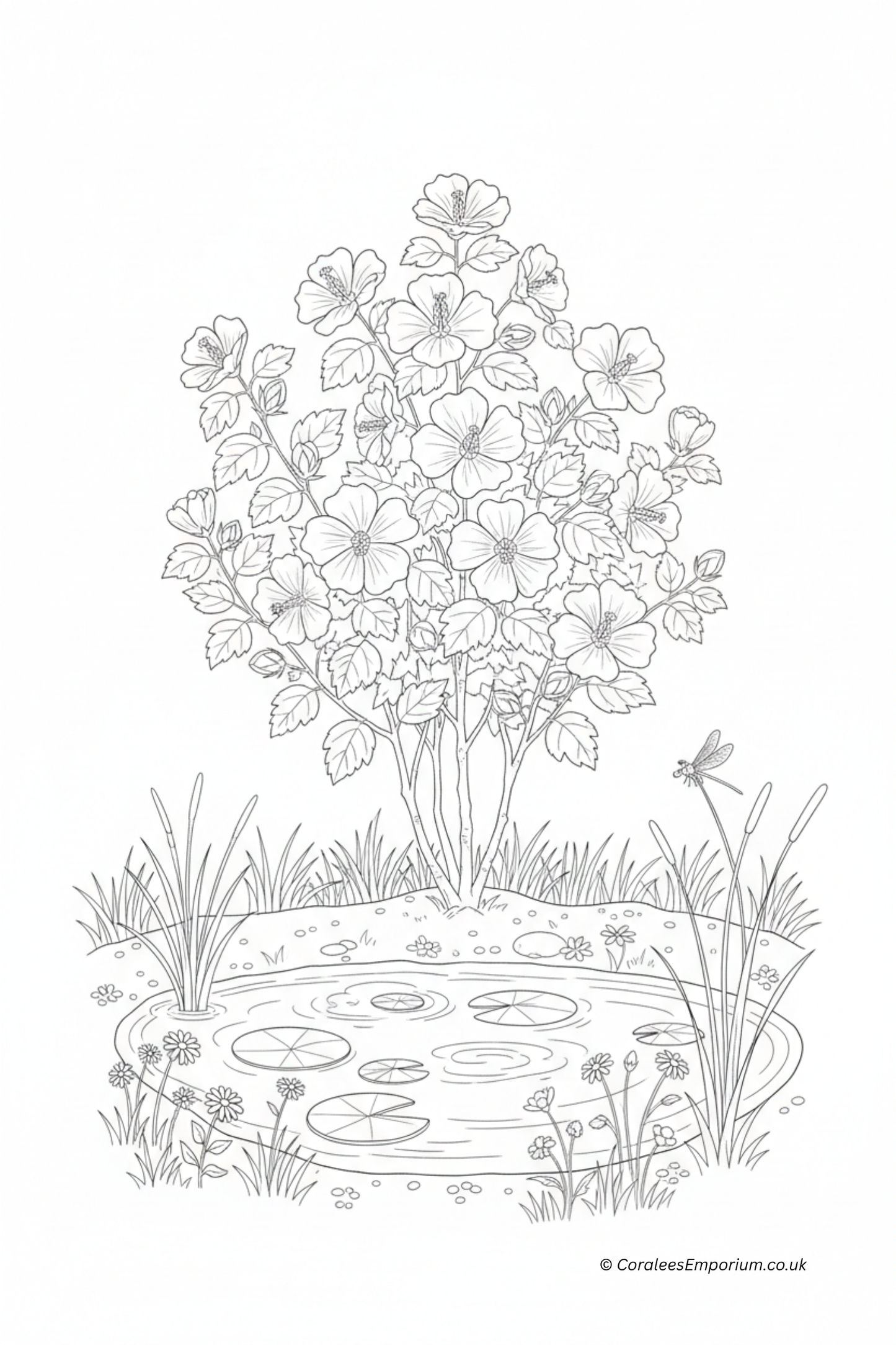 Black and white line art illustration of a garden scene featuring a hibiscus bush, a pond with lily pads, reeds, and a dragonfly, with a small copyright watermark at the bottom right | AI generated for Coralee's Emporium