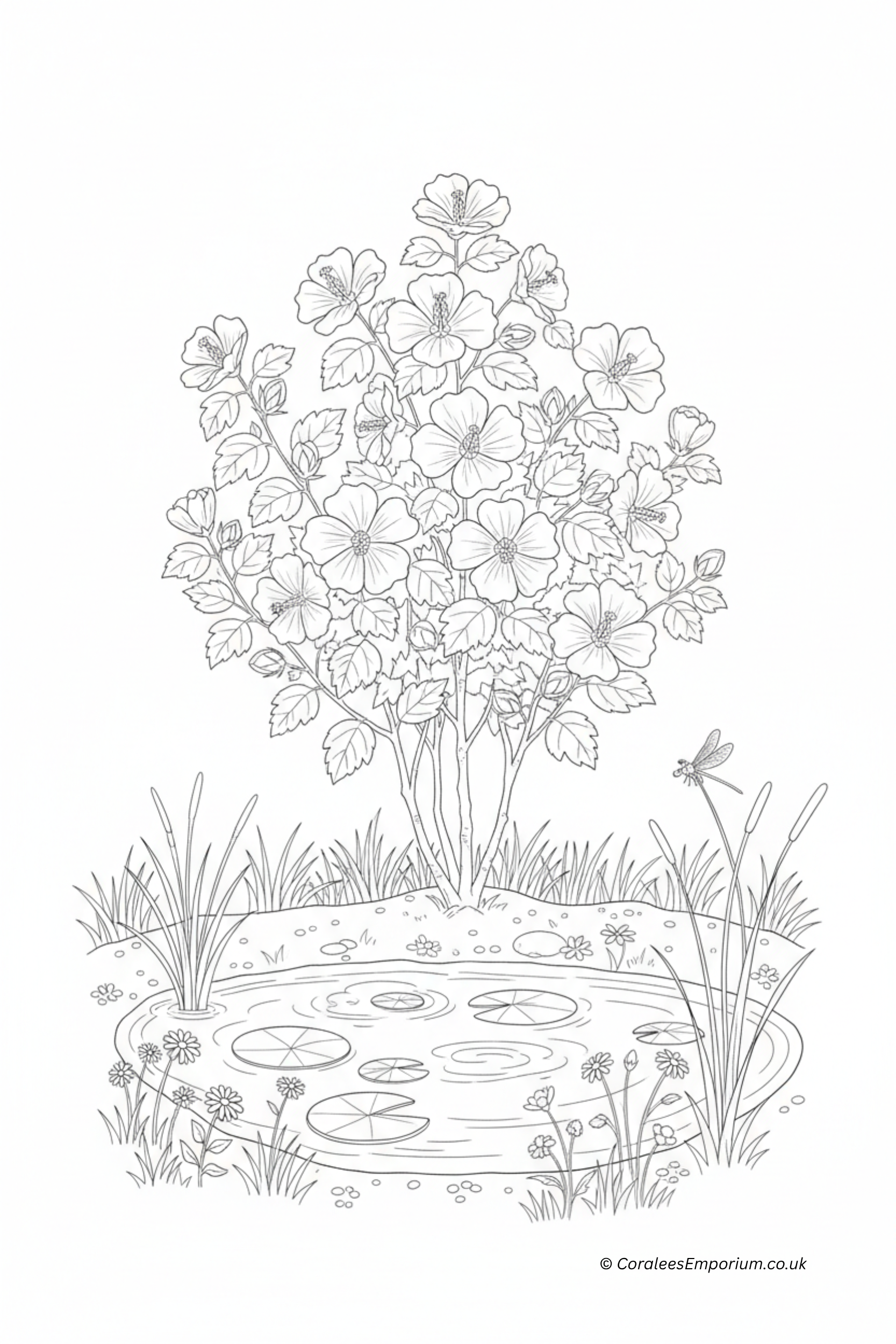 Black and white line art illustration of a garden scene featuring a hibiscus bush, a pond with lily pads, reeds, and a dragonfly, with a small copyright watermark at the bottom right | AI generated for Coralee's Emporium
