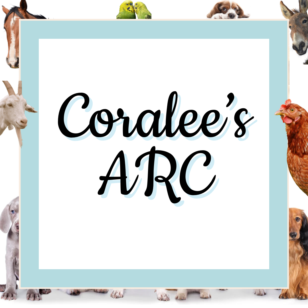 Coralee's ARC Tile = Product is part of our ARC Collection 