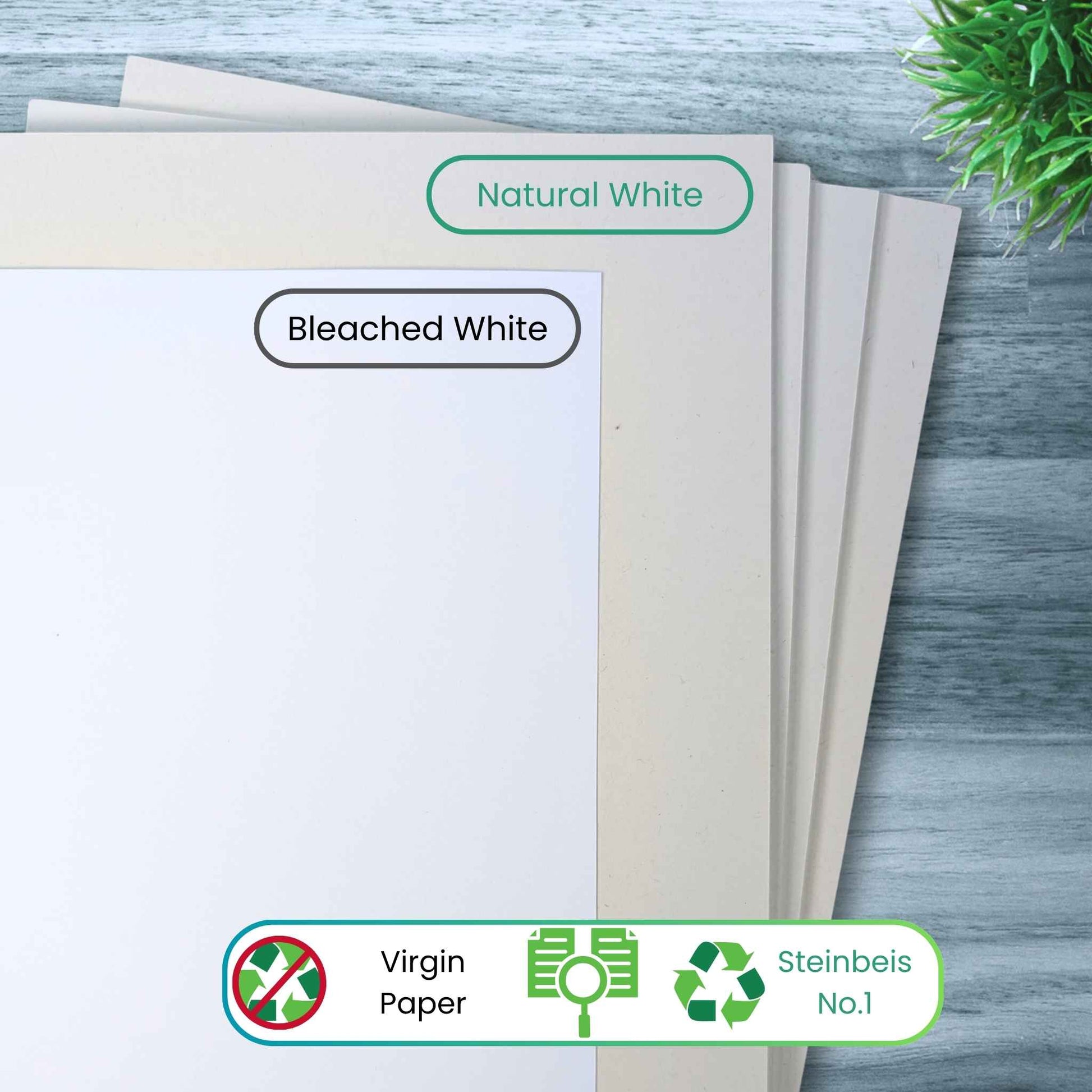 Sheets of paper labeled 'Natural White' and 'Bleached White' on a wooden surface with greenery.