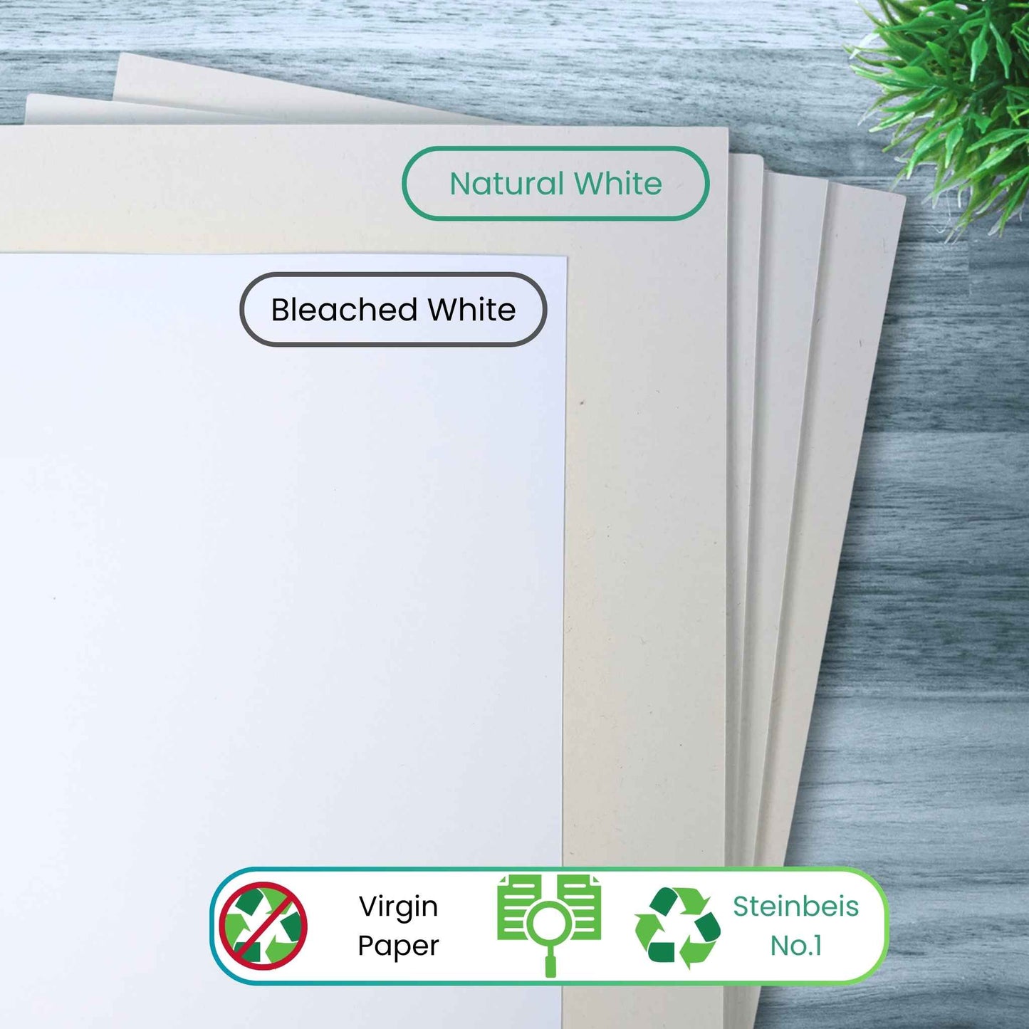 Printer Copy Paper, 100% Recycled, Natural White, 80 gsm 'Steinbeis Classic №1' | A4
