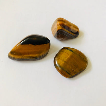 Three polished tiger's eye stones with natural brown and black banded patterns, arranged on a plain white surface.
