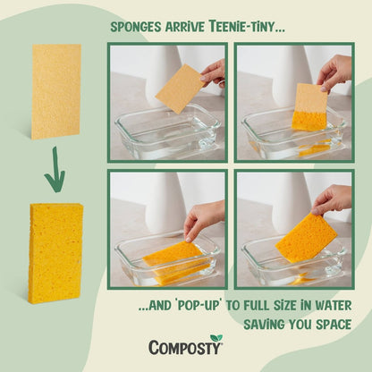Eco Sponges, Magic ‘Pop-Up’