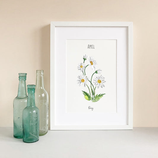 Fine Art PRINT, Daisy, April Birth Flower | sizes & frame options