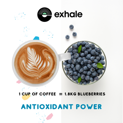 Cup of coffee with latte art next to a bowl of blueberries, Exhale logo visible