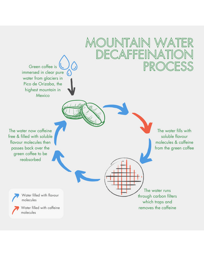 Diagram of the mountain water decaffeination process for green coffee