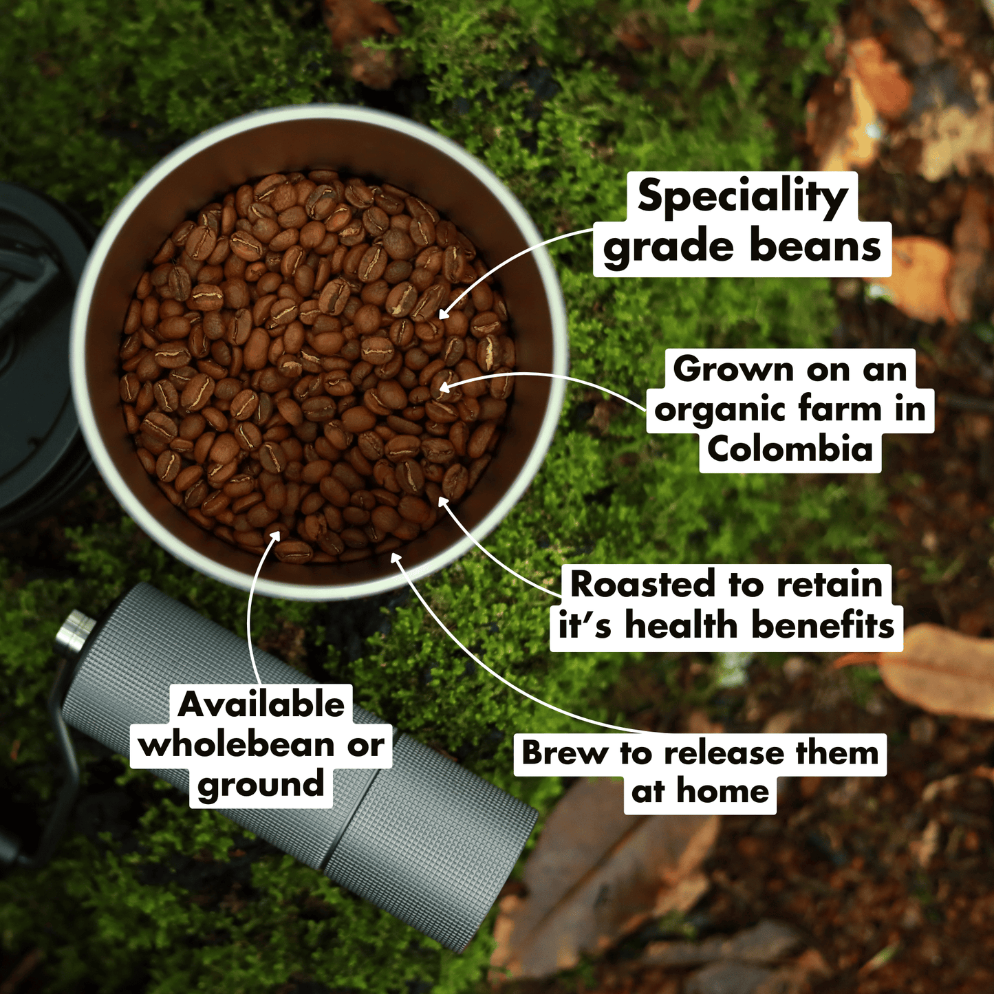 Container of specialty grade coffee beans with text on a natural background