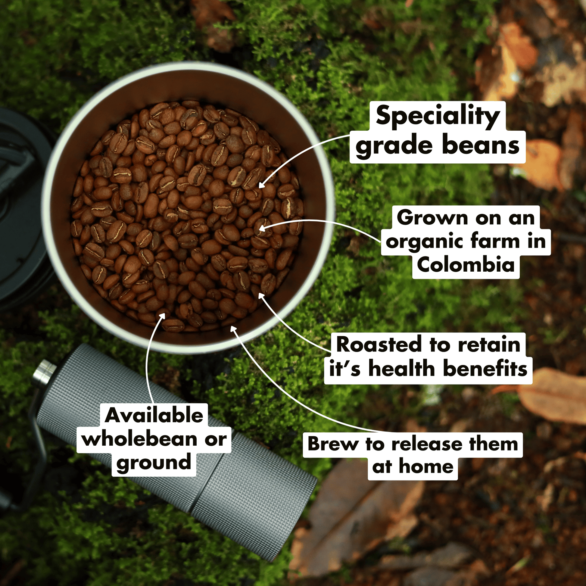 Container of specialty grade coffee beans with text on a natural background