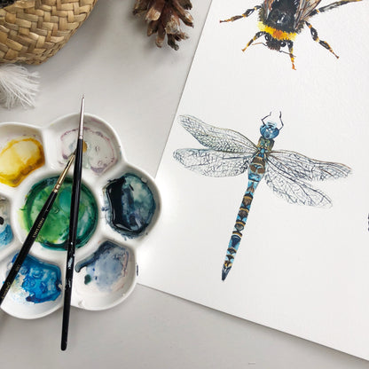 Artistic depiction of a dragonfly with watercolour tools and paint palette on a white surface  | Original Katie Hipwell 