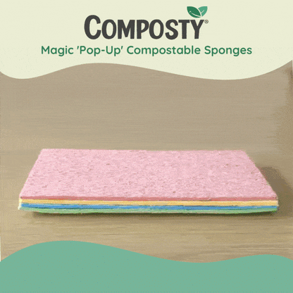 Eco Sponges, Try-Me Bundle: The Better Sponge Family