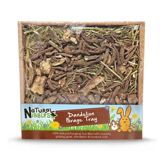 Dandelion Forage Tray 70g