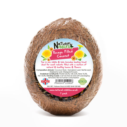 Forage Filled Coconut