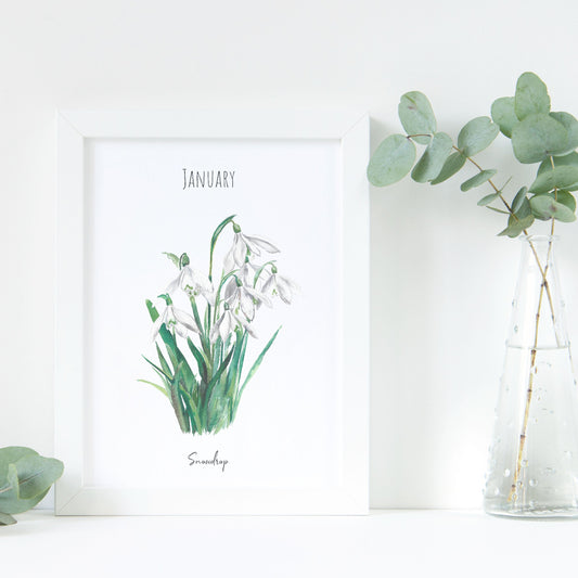 Snowdrop - January Birth Flower | Watercolour Fine Art Print