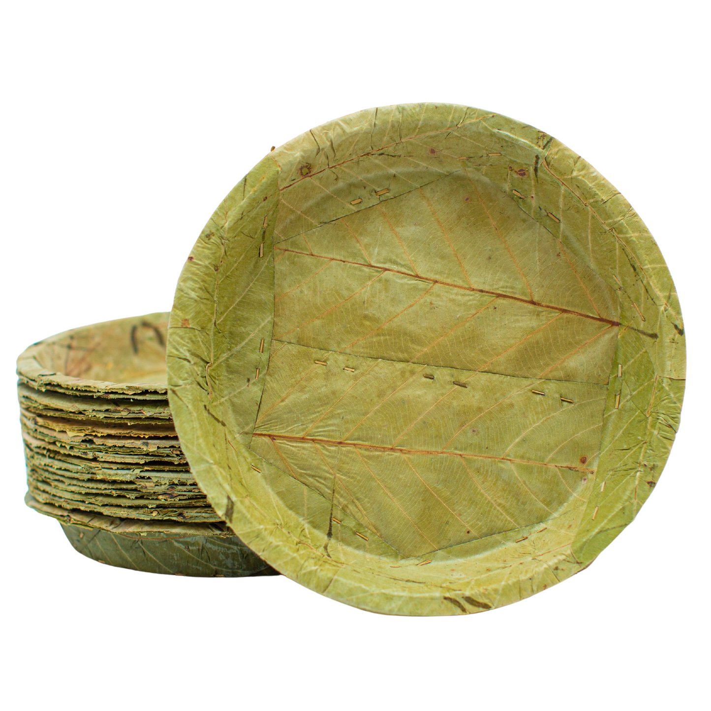 Stack of green leaf plates on a white background
