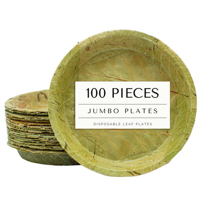 Disposable Sal Leaf PLATES - X LARGE 27cm / 10.5“ Ø