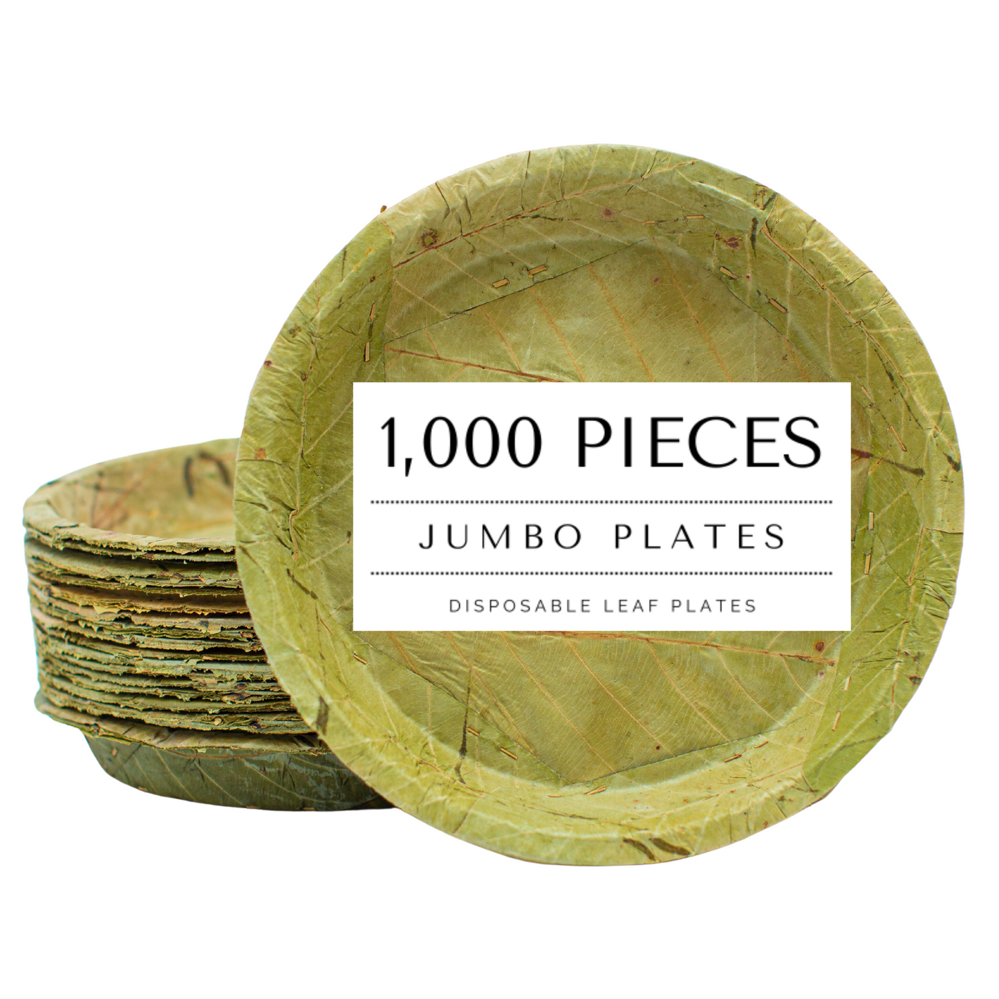 Disposable Sal Leaf PLATES - X LARGE 27cm / 10.5“ Ø
