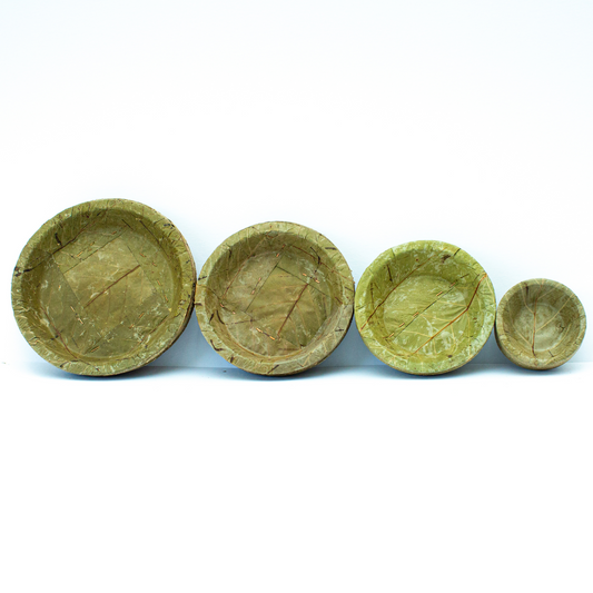 Disposable Sal Leaf COMBO PACK - 4 Sizes - Pack of 20 (5pcs of each)