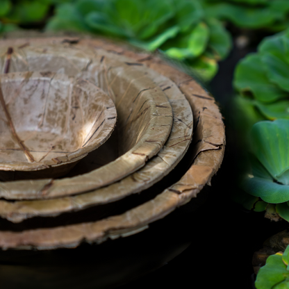 Disposable Sal Leaf COMBO PACK - 4 Sizes - Pack of 20 (5pcs of each)