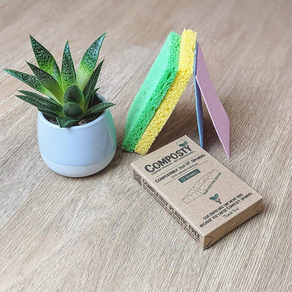 Eco Sponges, Magic ‘Pop-Up’